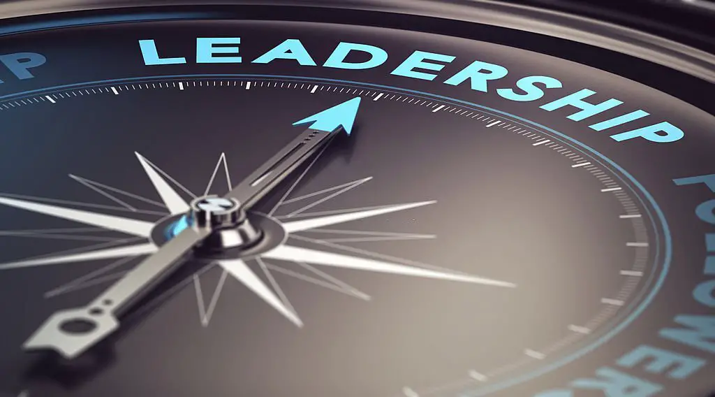 The Roles of Leadership in Driving Business Improvement